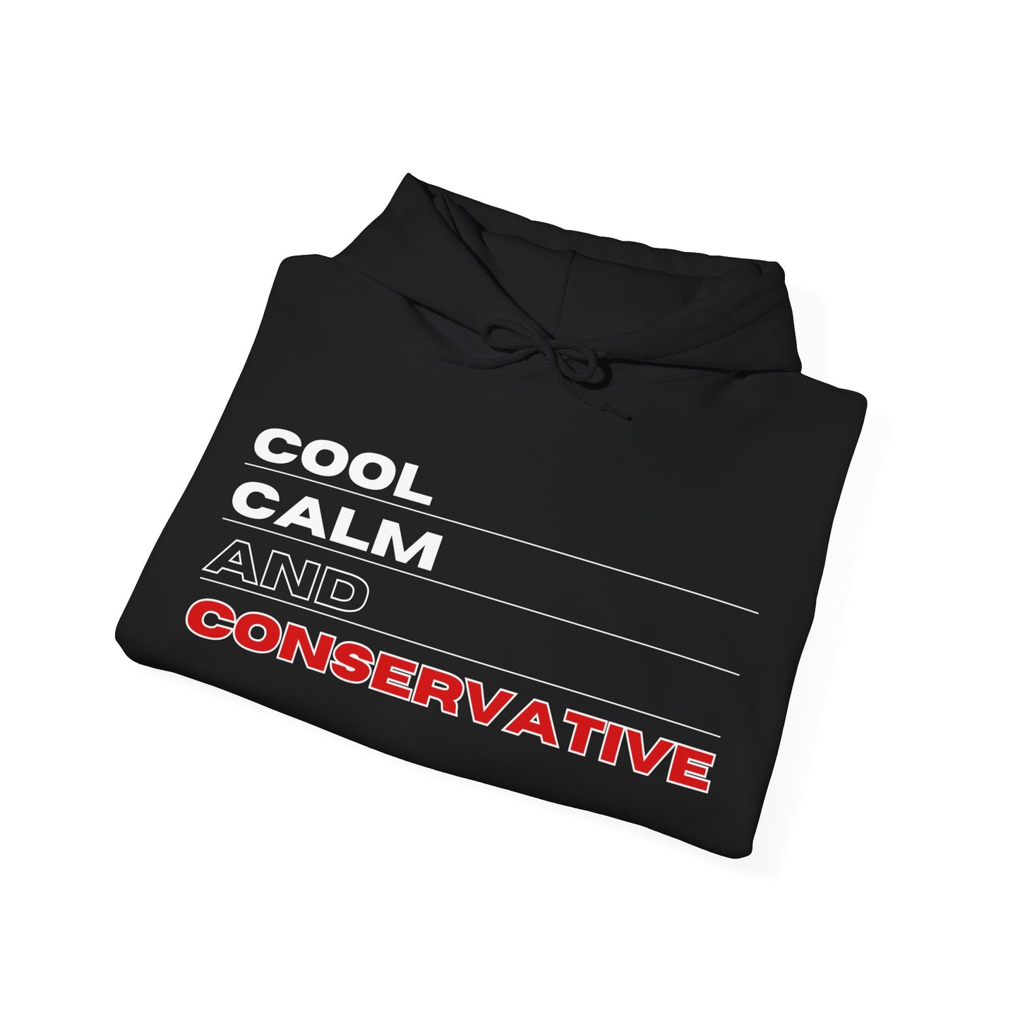 Cool Calm And Conservative Hoodie