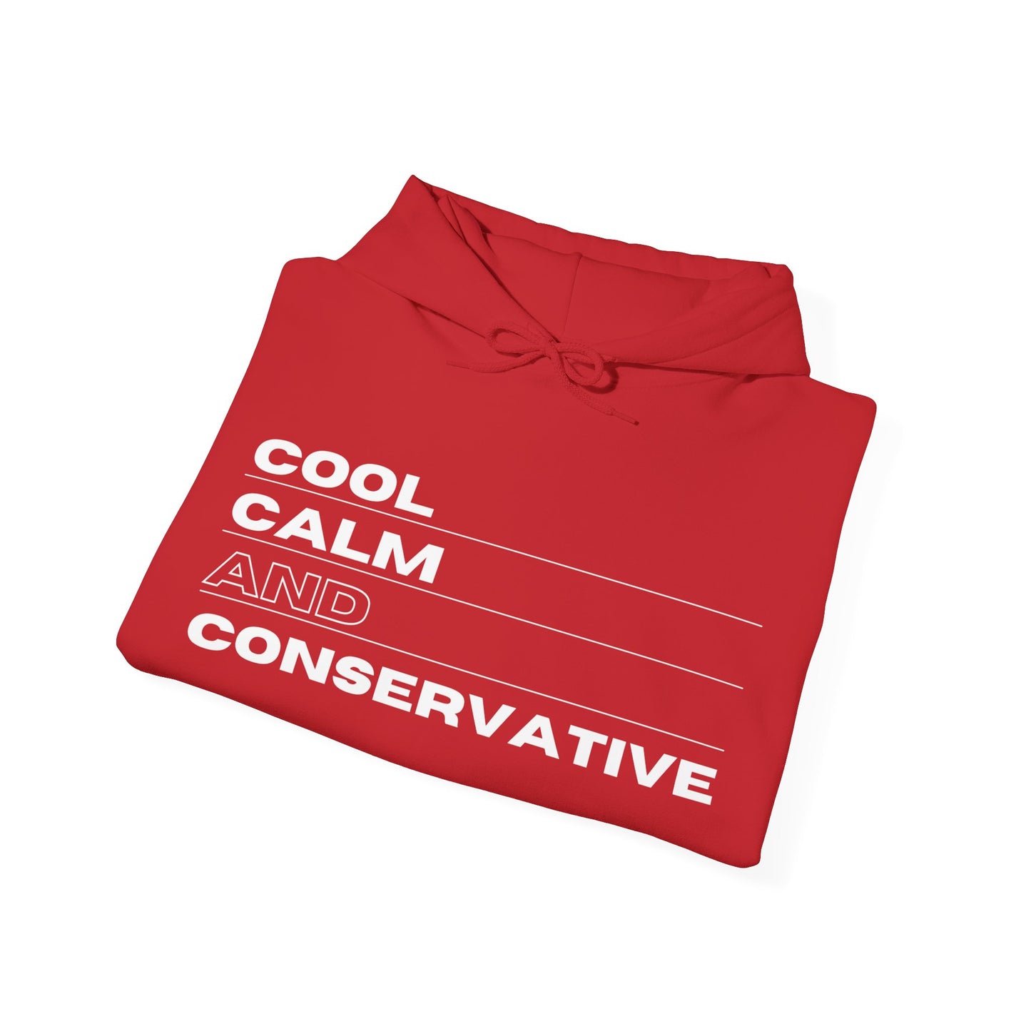 Cool Calm And Conservative Hoodie